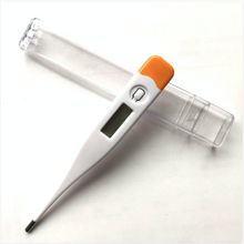 Load image into Gallery viewer, Digital Thermometer -
